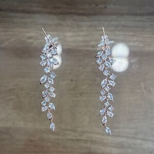 Elegant Silver Drop Earrings